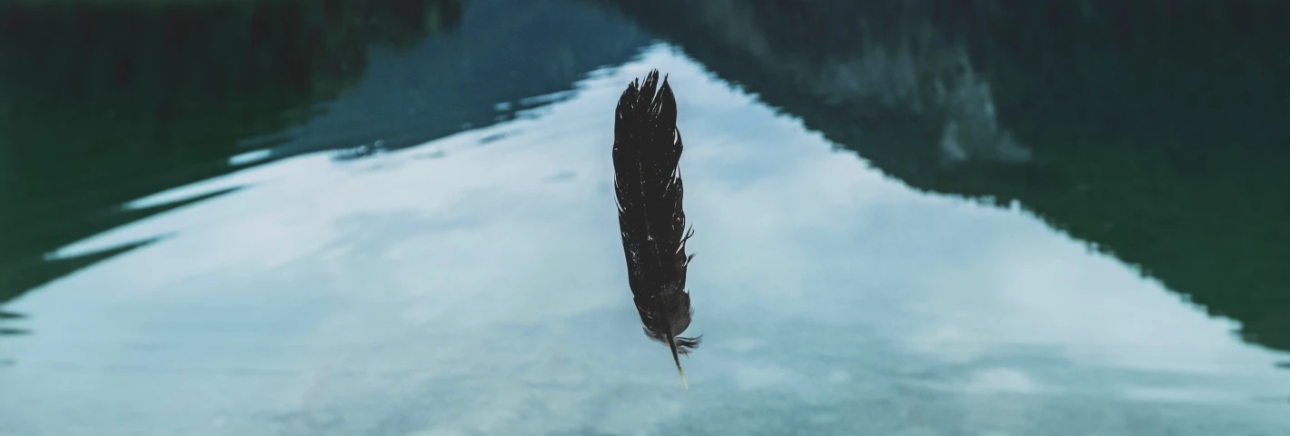 Image for Learning to Let Go